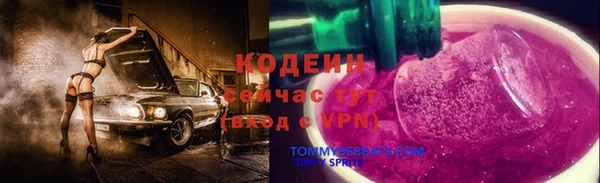 СК Бородино