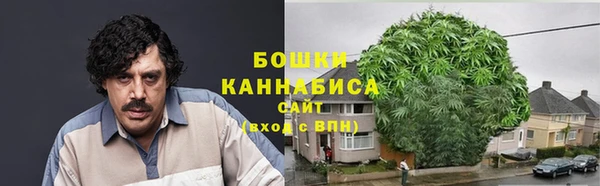 СК Бородино
